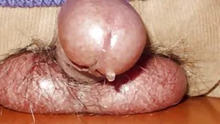 兩個成熟的阿姨帶走了一個男人並強迫他自己操
